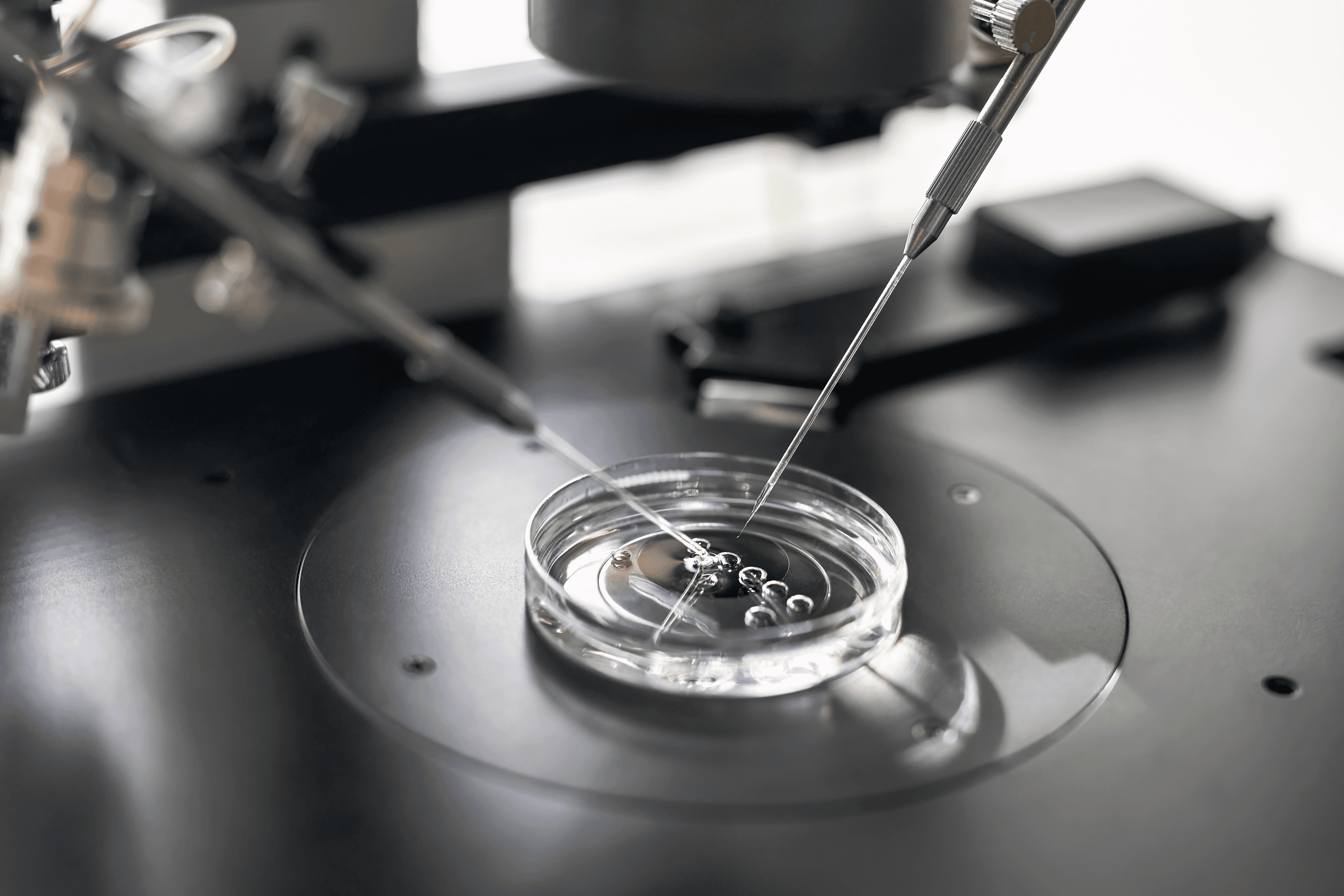 Backed by Cutting-Edge Research